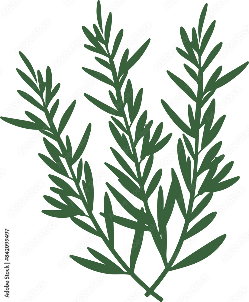 Fototapeta premium Vector Illustration of Green Botanical Herb Symbolizing Freshness