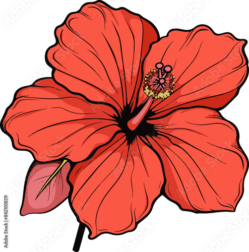 Illustration of Red Hibiscus Flower Symbolizing Tropical Beauty