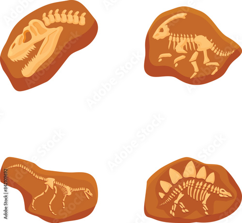 Collection of detailed dinosaur skeleton fossils illustrations for educational or artistic use