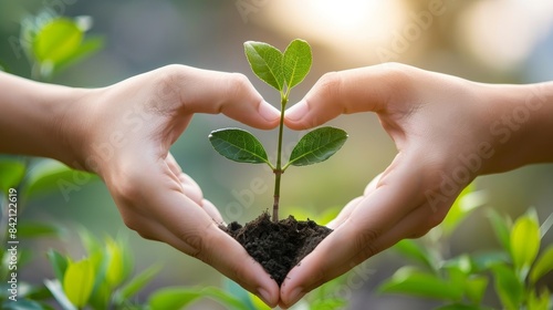 Nature's Embrace Heartfelt Connection with a Growing Sapling EcoFriendly Concept Stock Image