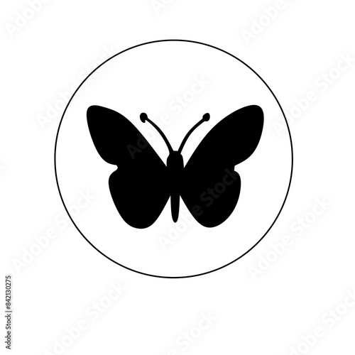 butterfly illustration