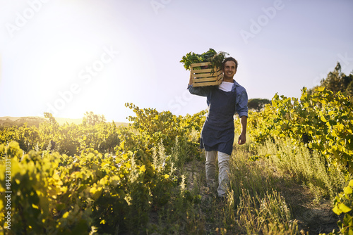 Photos Harvesting, farm and portrait of man with celery, natural produce and organic food in countryside field