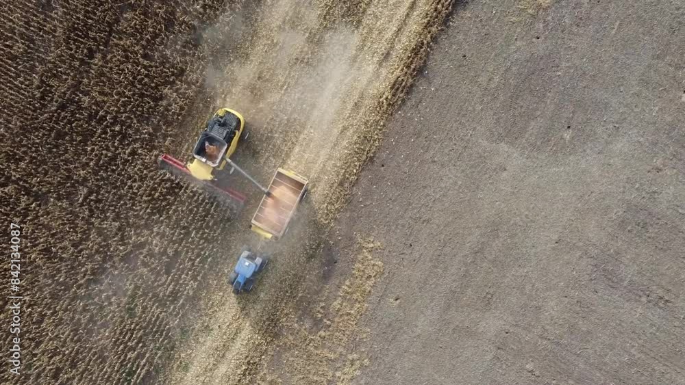 Máquina trilladora cosechando maiz y volcando a tolva de transporte. Campo argentino, vista aérea cenital con dron Máquina trilladora cosechando maiz y volcando a tolva de transporte. Campo argentino, vista aérea cenital con dron