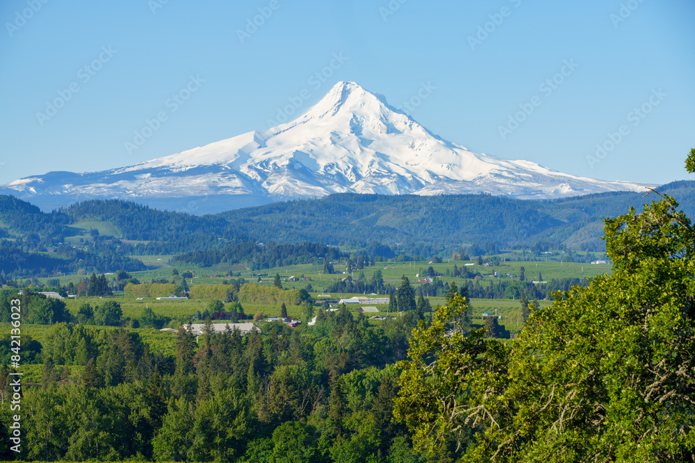 Fototapeta premium Mt. Hood