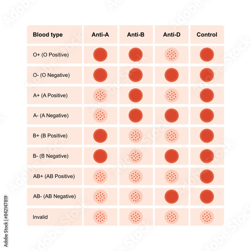 Blood Group Testing Scientific Design. Vector Illustration.