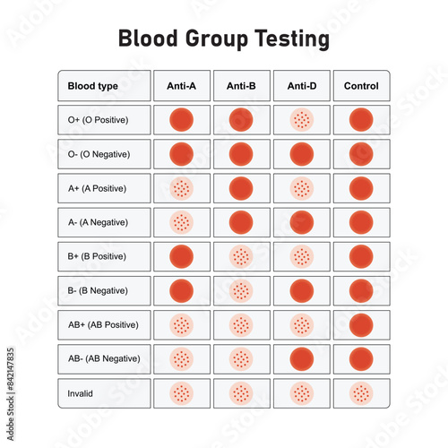 Blood Group Testing Scientific Design. Vector Illustration.