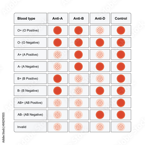 Blood Group Testing Scientific Design. Vector Illustration.