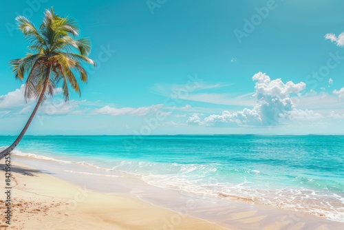 Beach with palm trees and sea on a clear day