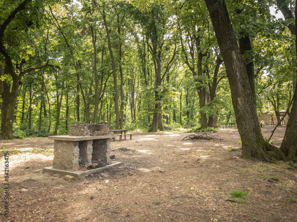 Selective blur on a Stone Barbecue in the woods, in a campsite in Fruska Gora Forest in serbia - Outdoor Picnic Spot with Natural Scenery Selective blur on a Stone Barbecue in the woods, in a campsite in Fruska Gora Forest in serbia - Outdoor Picnic Spot with Natural Scenery