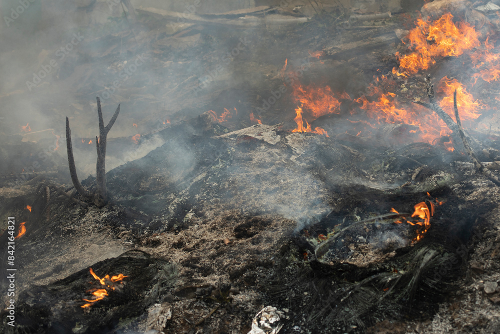 Burning of garbage. Set fire to illegal landfill. Flames and smoke.
