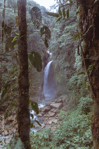 waterfall in the forest