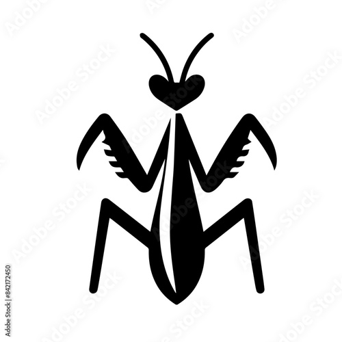 praying mantis