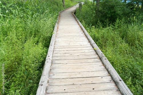 湿地帯の上に架けられた木製の遊歩道 