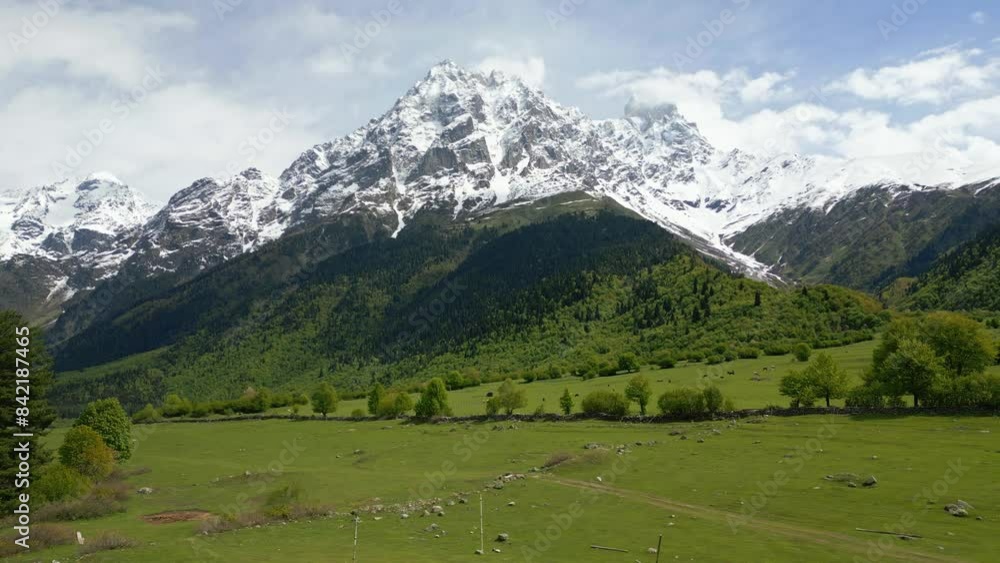 Mount Ushba in spring, snowy peak and green slopes mountain ranges, aerial view Mount Ushba in spring, snowy peak and green slopes mountain ranges, aerial view