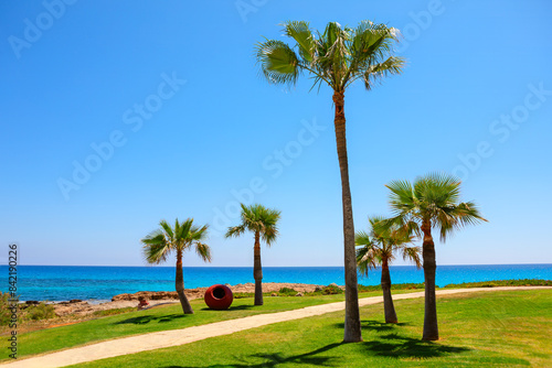 Fototapeta Naklejka Na Ścianę i Meble -  Tropical beach with palm trees along path. Awesome seaside in Cyprus