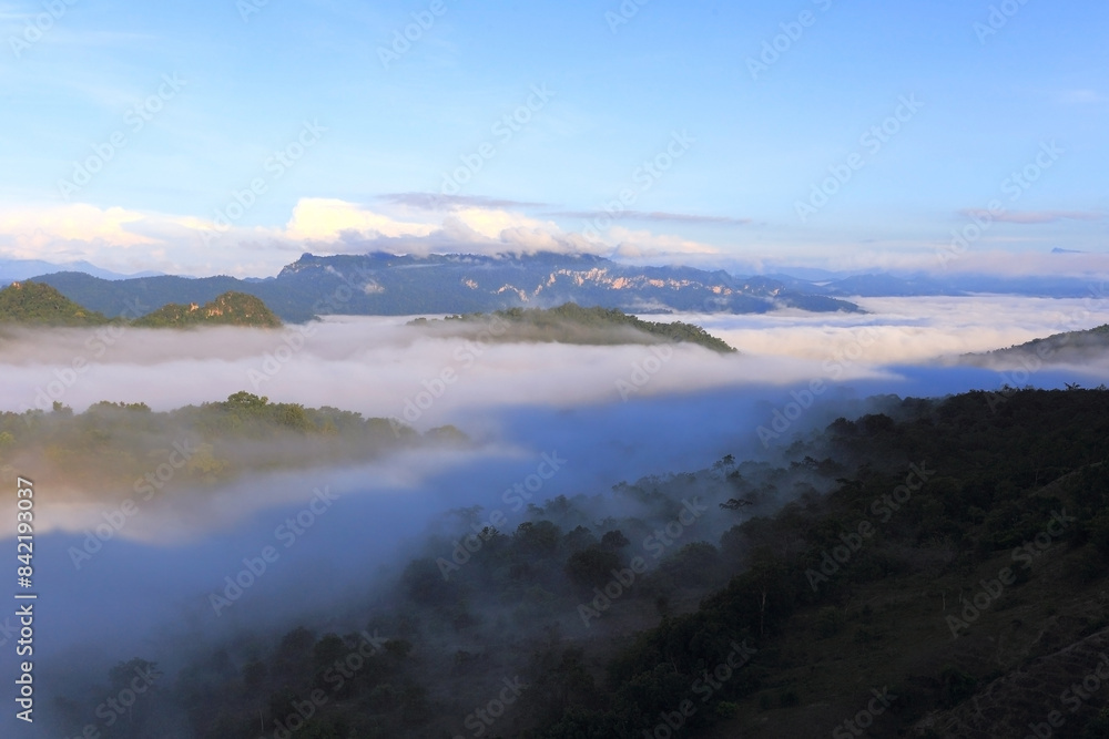 Fototapeta premium Morning mist in the middle of the western forest of Thailand 