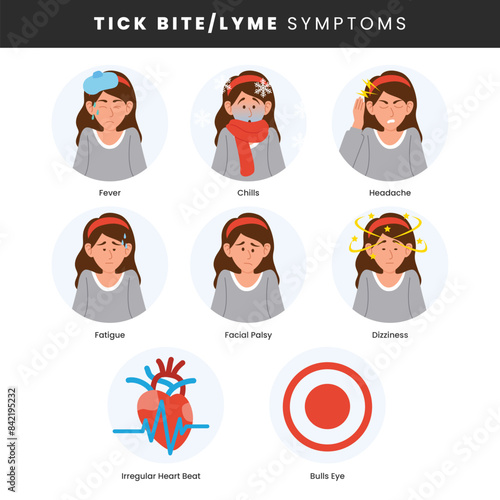 Tick Bite or Lyme Disease symptoms infographic medical poster design, labeled Medical parasite sickness with bulls eye and fatigue. tick bite problems scheme, Parasite carrying disease, encephalitis.