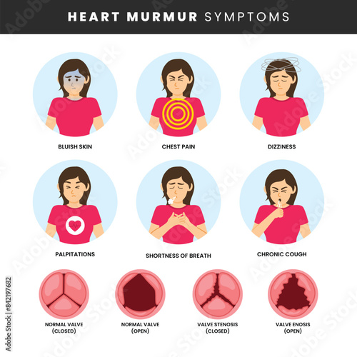 Heart murmur symptoms infographic medical poster design, labeled Cardiology, endocarditis disease, endocardium infection in heart chambers and valves, anemia and murmur, chest acute pain.