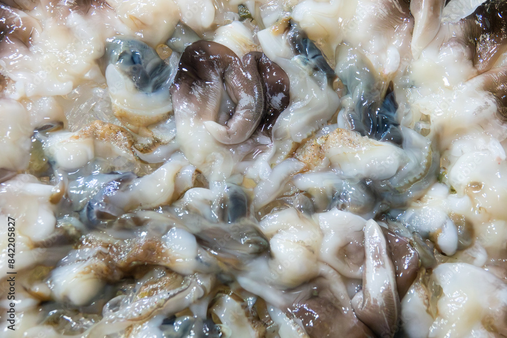 View of the raw clams for shabu-shabu View of the raw clams for shabu-shabu
