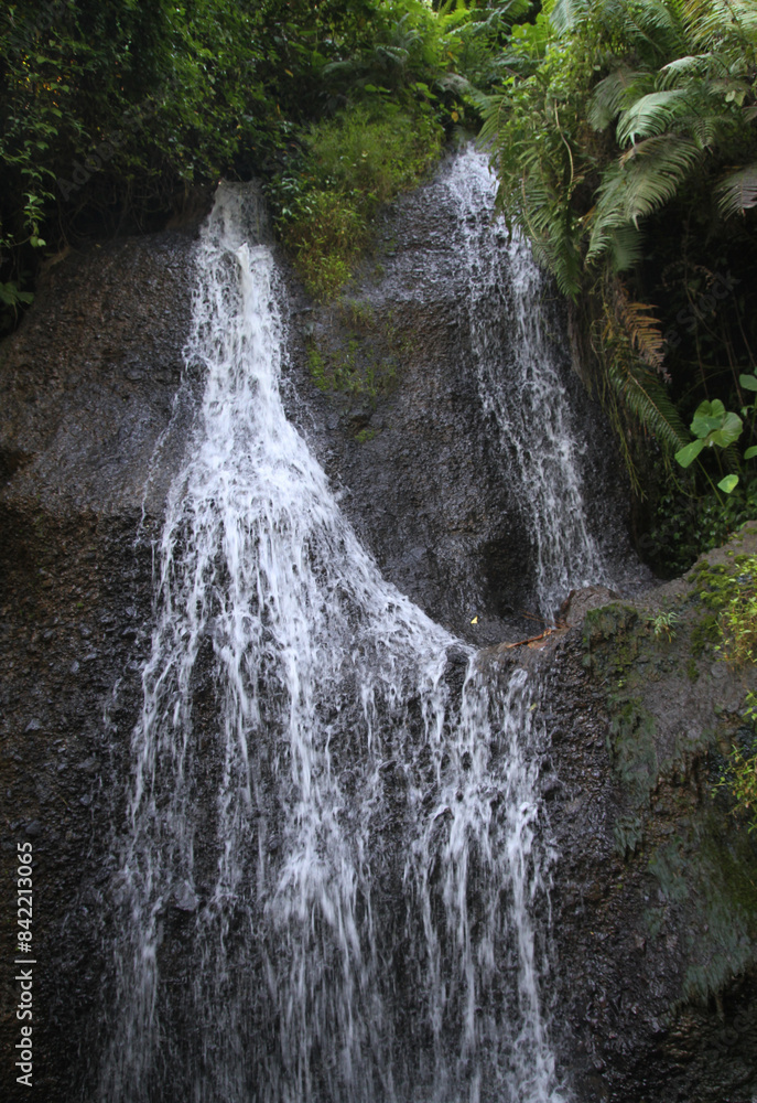 Obraz premium Small nature jungle river in west Java Indonesia