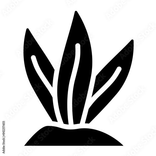 seaweed icon 