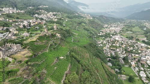 Aerial view of Italian vineyards