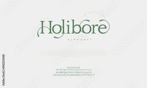 Holibore premium luxury elegant alphabet letters and numbers. Vintage wedding typography classic serif font decorative vintage retro. creative vector illustration