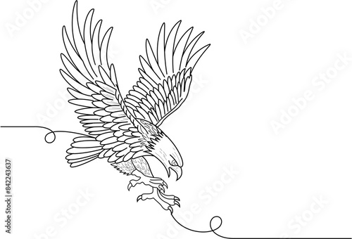 eagle line art photo