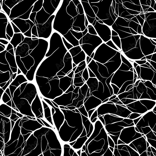 Abstract Rhizomatic Network Pattern on Black Background