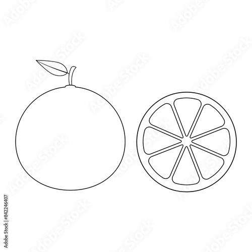 Illustration vector graphic of orange outline on white background. Perfect to use for coloring page or drawing page.