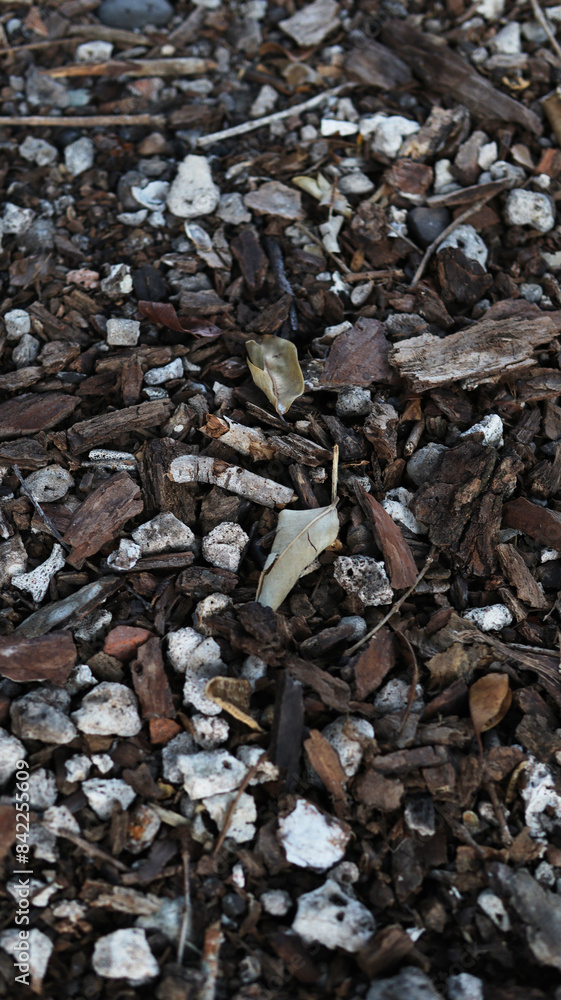 Background photo of rocks and wood with dark brown tones and high resolution Background photo of rocks and wood with dark brown tones and high resolution