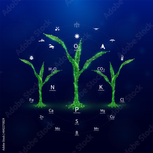 Green seedling corn with icon biotechnology and Oxygen Carbon Dioxide Water. Nutrients minerals necessary for plants growing. Nitrogen, Phosphorus, Potassium. Cultivation agriculture industry. Vector.