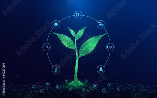 Green seedling growing from polygon fertile ground. With icon Oxygen Carbon Dioxide Water H2O and Cloud, Sun. Ad agricultural industry minerals fertilizer. Agriculture environment concept. Vector.