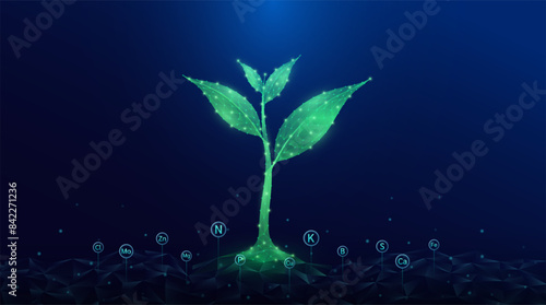 Green seedling growing from polygon fertile ground. Ad agricultural industry minerals fertilizer. Agriculture environment concept. Vector.