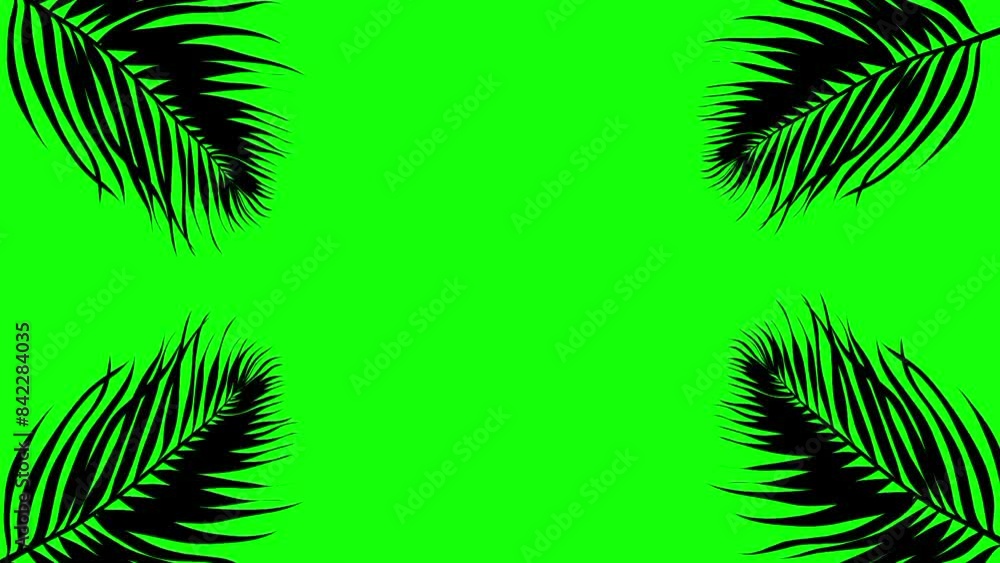 Animation of coconut leaves moving in the wind with a green screen background. Summer tropical leaves frame. Animation of coconut leaves moving in the wind with a green screen background. Summer tropical leaves frame.