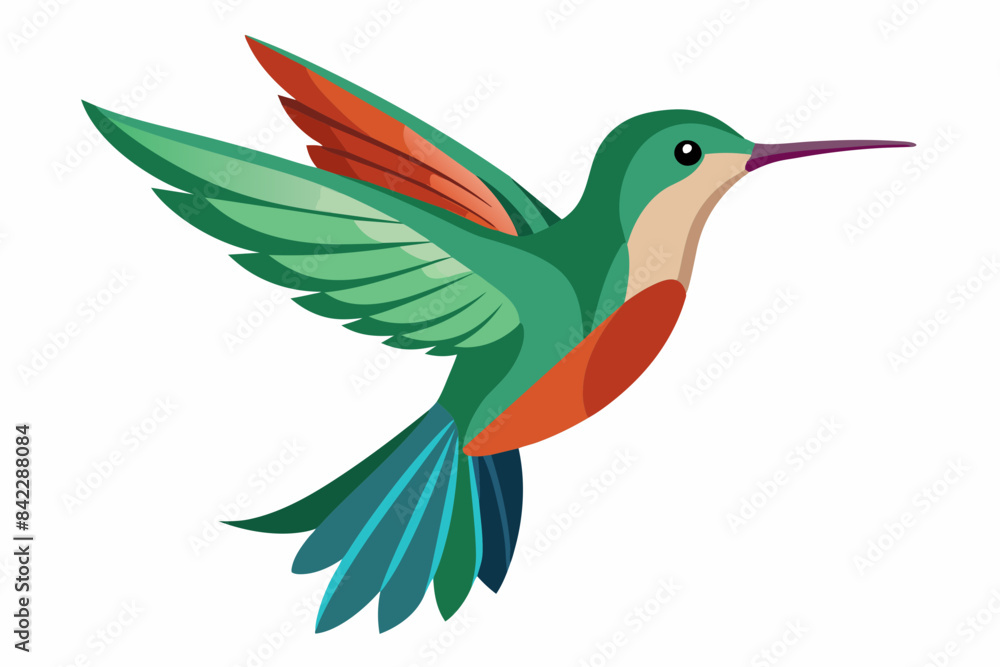 Fototapeta premium hummingbird flying vector illustration svg