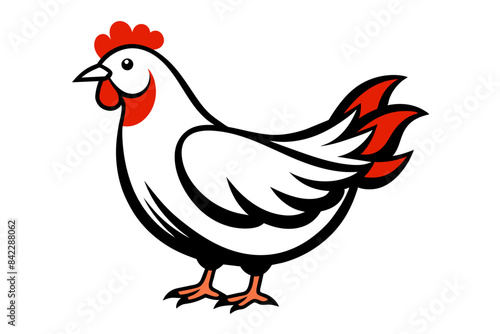 chicken vector artwork and illustration