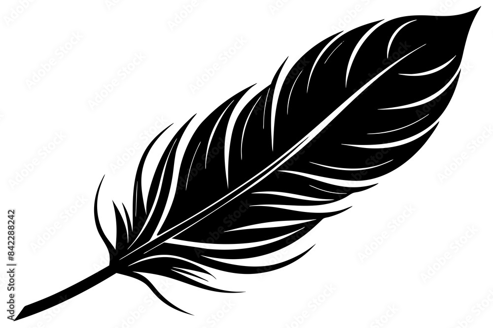 Fototapeta premium bird feather vector silhouette illustration