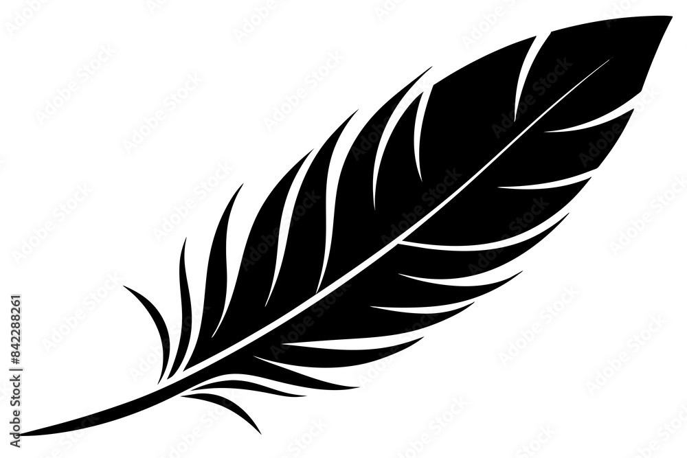 Fototapeta premium bird feather vector silhouette illustration