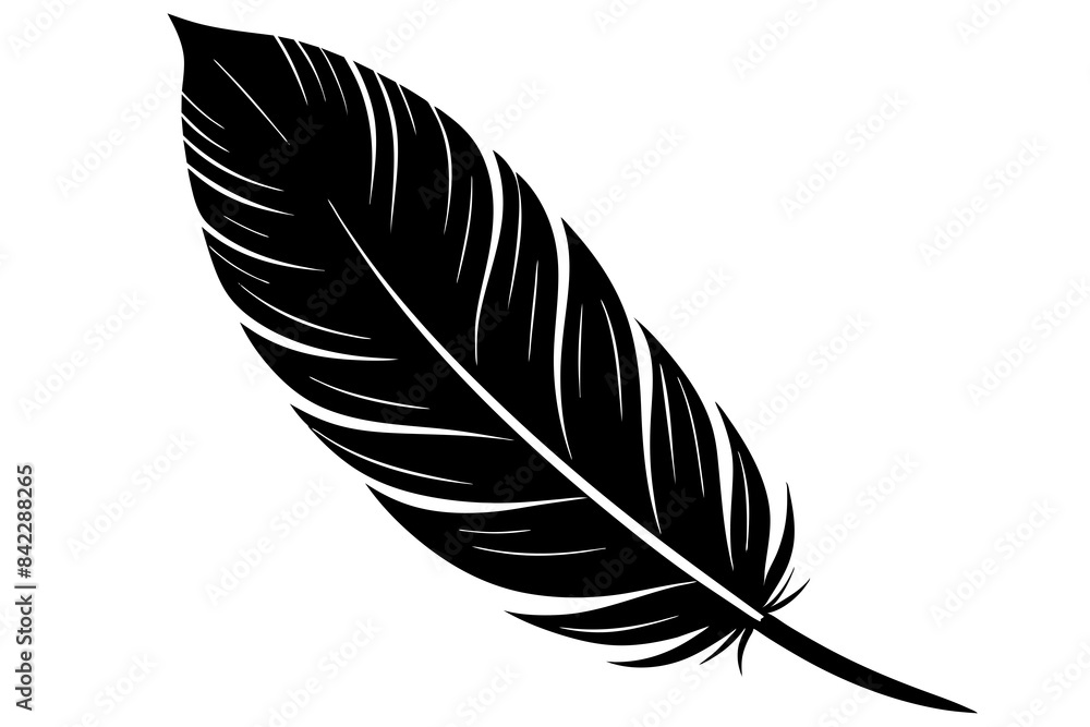 Obraz premium bird feather vector silhouette illustration