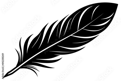 bird  feather vector silhouette illustration