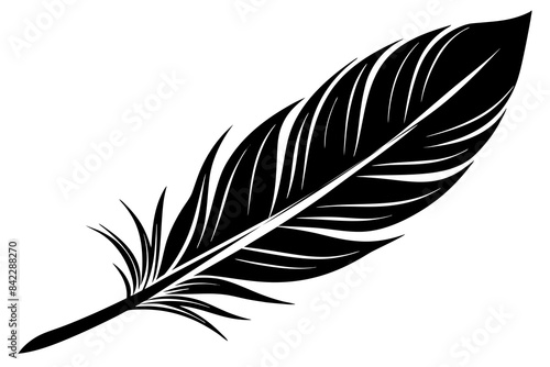 bird  feather vector silhouette illustration
