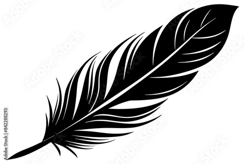 bird  feather vector silhouette illustration