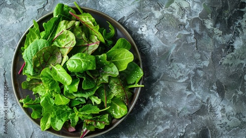 Fresh greens arranged on a plate a summery green salad from above with space for text photo