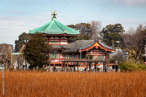 temple in the Ueno district, Japan, in winter.