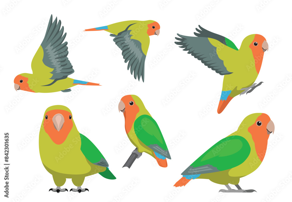 Obraz premium Animal Cartoon Bird Parrot Rosy-Faced Lovebird Poses Vector Illustration