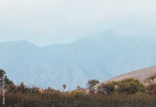 mountains in the fog