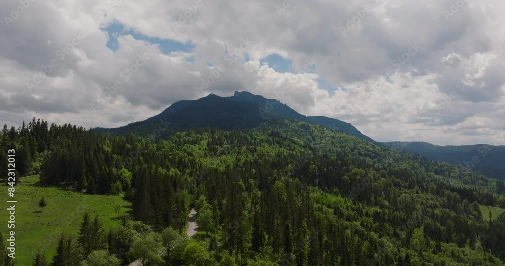 Aerial wide view showing tall mountains peaks covered in dense coniferous green forests, overcast Aerial wide view showing tall mountains peaks covered in dense coniferous green forests, overcast