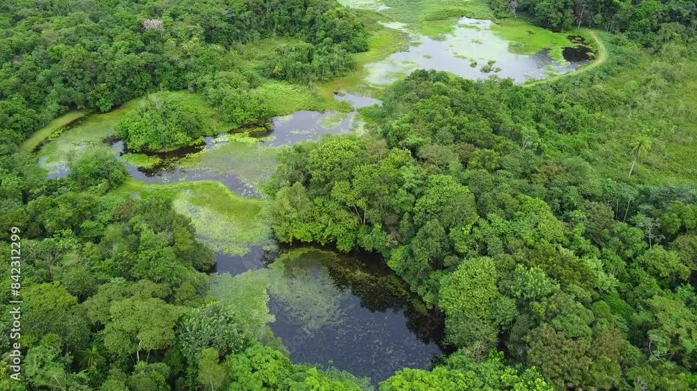 Aerial view of the wetlands of the environmental NGO Associação Reserva Ecológica de Guapiaçu - REGUA (Guapiaçu Ecological Reserve) , in Rio de Janeiro, Brazil. Aerial view of the wetlands of the environmental NGO Associação Reserva Ecológica de Guapiaçu - REGUA (Guapiaçu Ecological Reserve) , in Rio de Janeiro, Brazil.