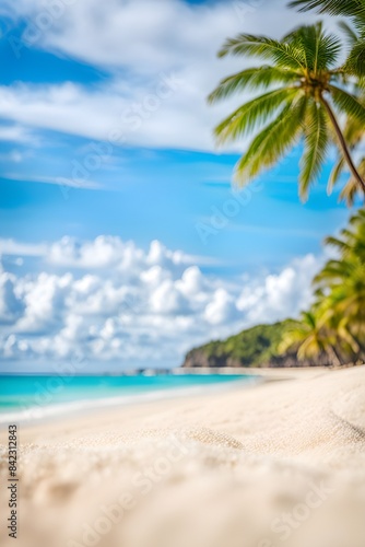 tropical beach